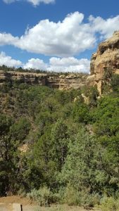 Colorado Wilderness Therapy