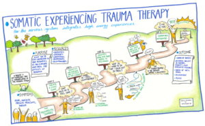 Roadmap of somatic experiencing trauma therapy