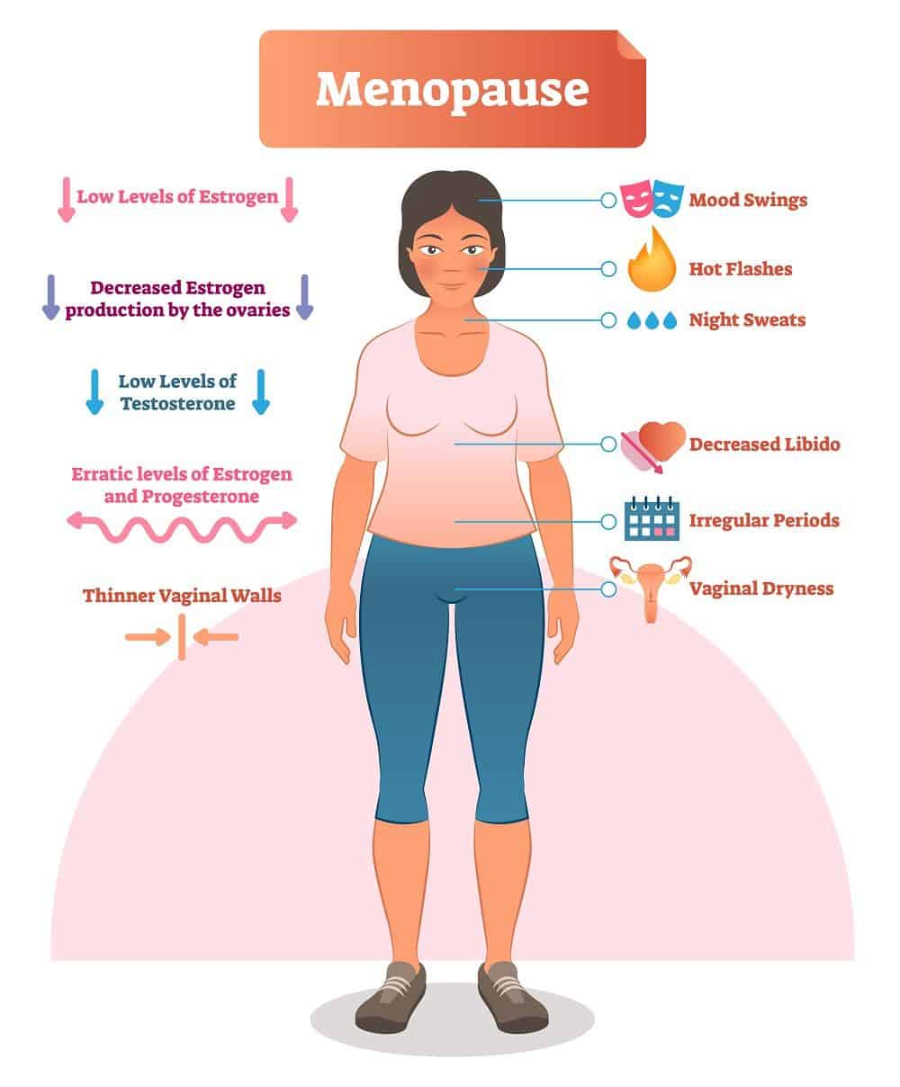 Risk After Menopause Periods